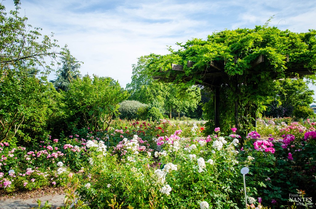 Parc de la Roseraie - Parc Floral de la Beaujoire Nantes