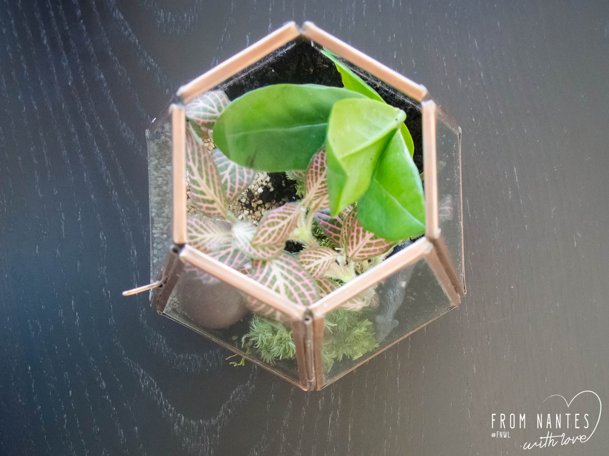 DIY Terrarium avec le kit Le Coin Jardin