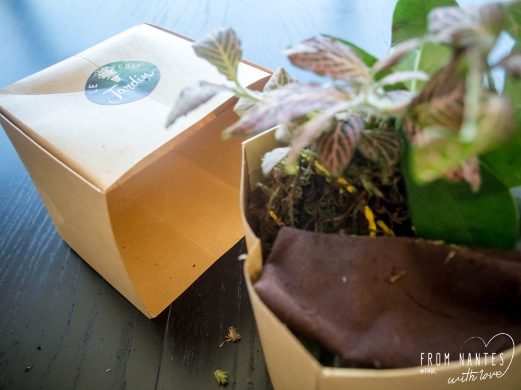 Mon terrarium DIY avec le kit "Green Forest" du Coin Jardin