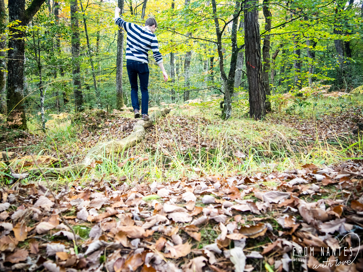 Balade d'automne dans la Forêt du Gavre