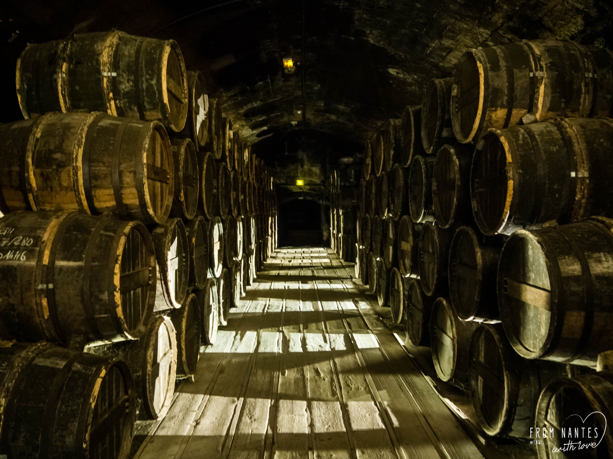 Visite de la distillerie de cognac Baron Otard